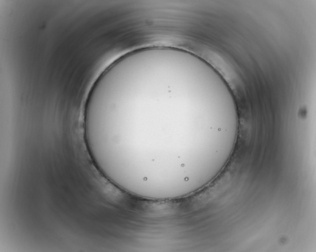 X0000103950948200809191437