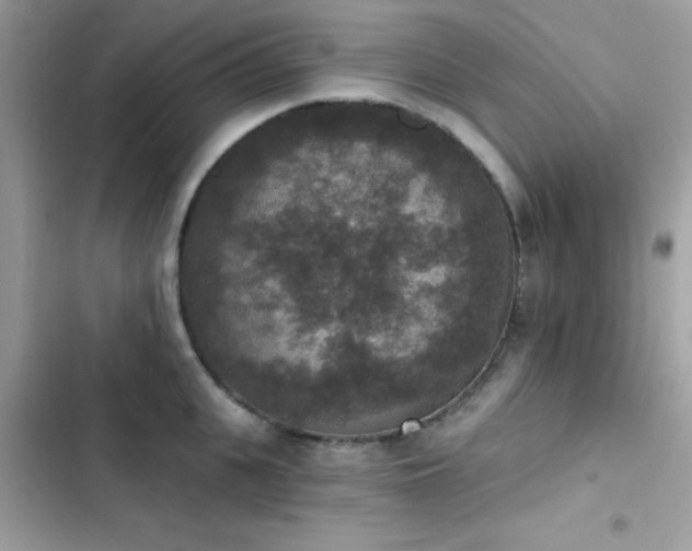 X0000103950951200809191438