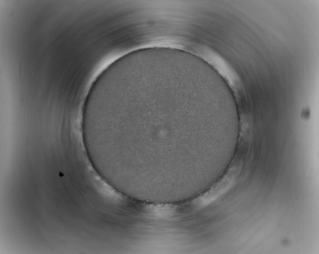 X0000103950952200809191438