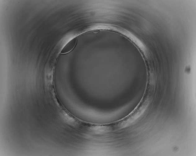 X0000103950953200809191438
