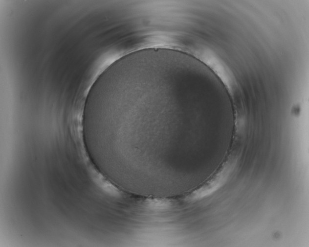 X0000103950954200809191438