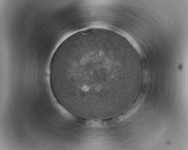 X0000103950955200809191438