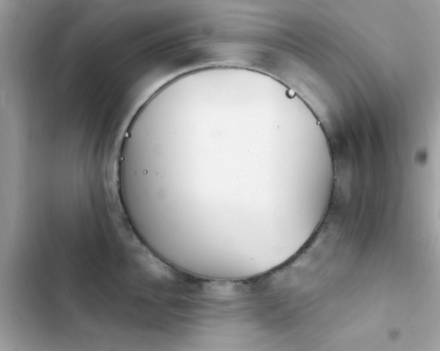 X0000103950956200809191438