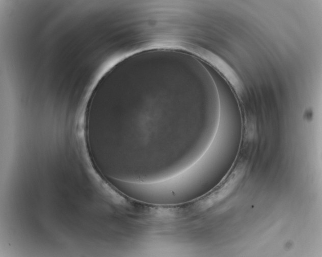 X0000103950958200809191438