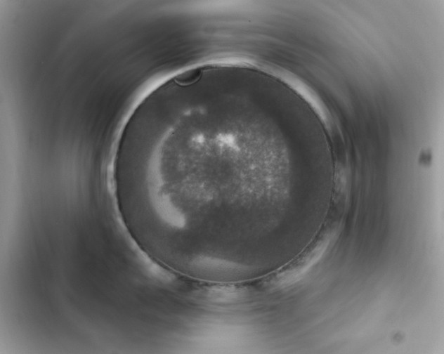 X0000103950959200809191438