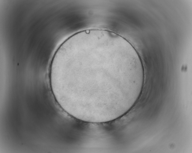 X0000103950960200809191438