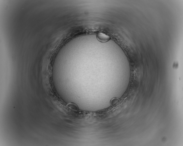 X0000103950961200809191437