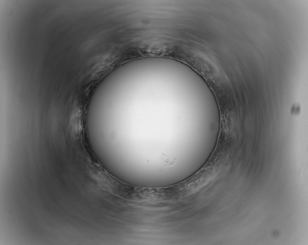 X0000103950962200809191437