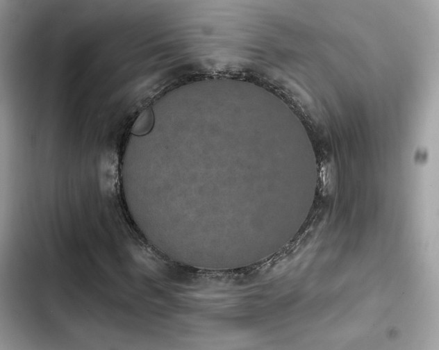 X0000103950963200809191437