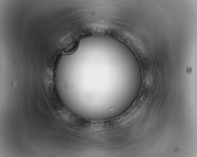 X0000103950964200809191437