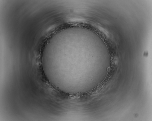 X0000103950965200809191437