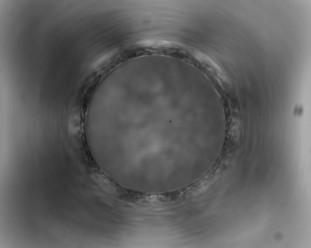X0000103950966200809191437