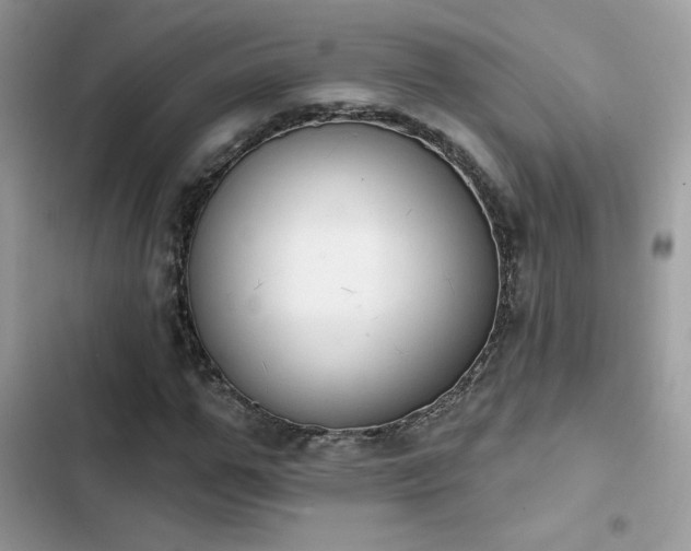 X0000103950967200809191437
