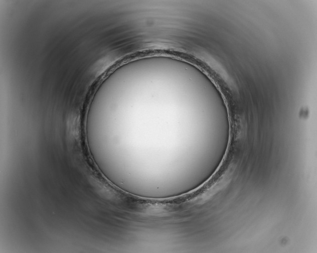 X0000103950969200809191437