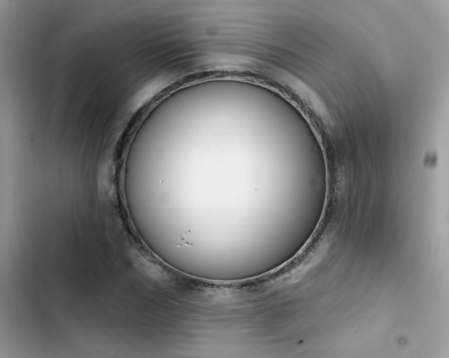 X0000103950970200809191437