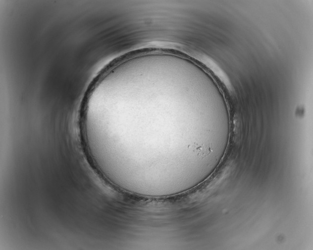X0000103950972200809191437
