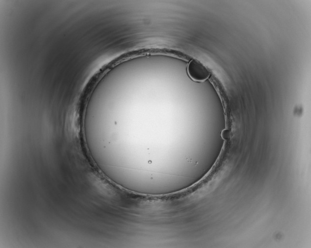 X0000103950973200809191437
