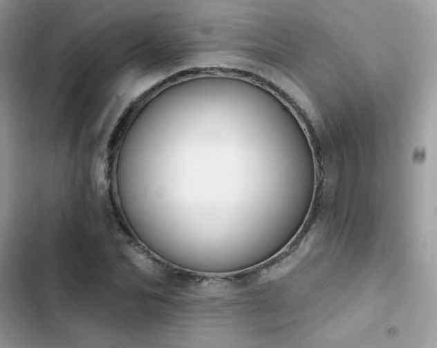 X0000103950974200809191437