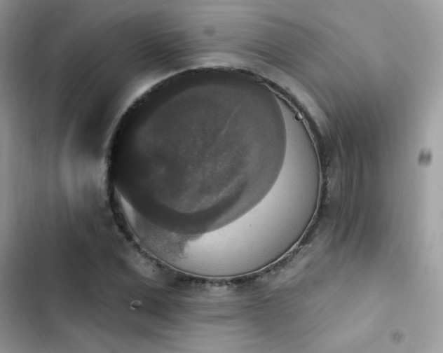 X0000103950975200809191437