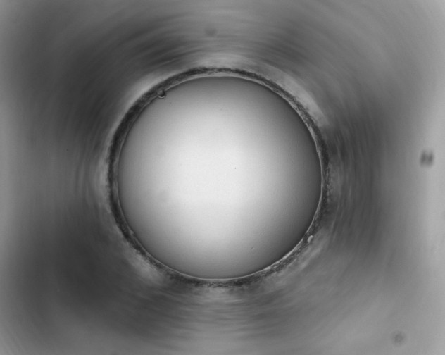 X0000103950976200809191437