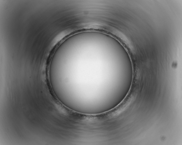 X0000103950978200809191437