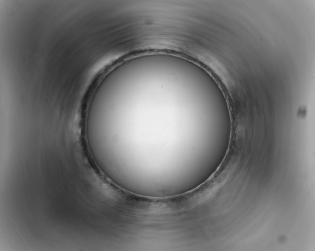 X0000103950979200809191437