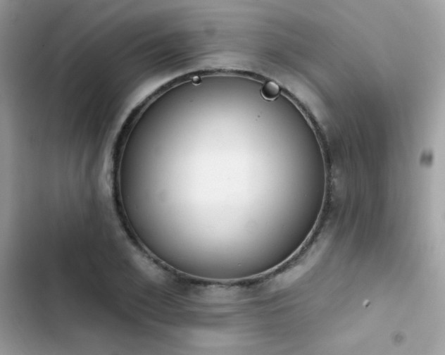 X0000103950981200809191437