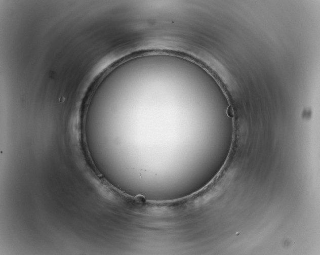 X0000103950982200809191437