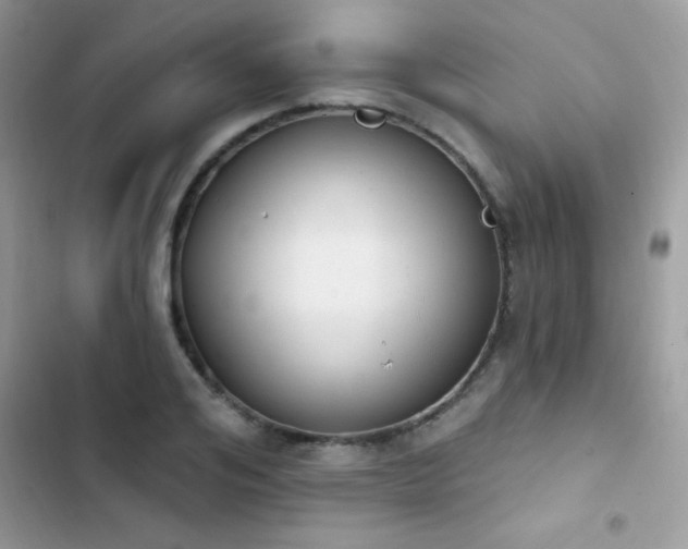 X0000103950984200809191437