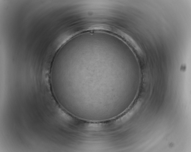 X0000103950985200809191437