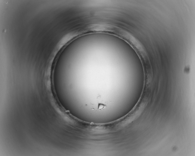 X0000103950986200809191437