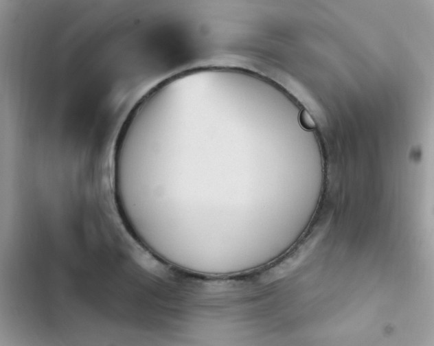 X0000103950988200809191437