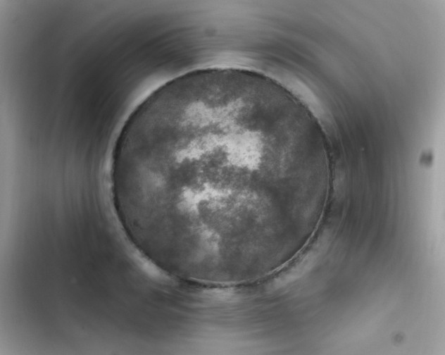 X0000103950990200809191437