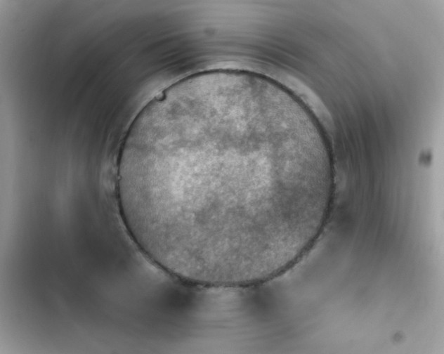 X0000103950993200809191437