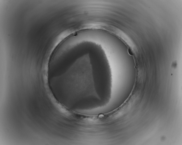 X0000103950994200809191437