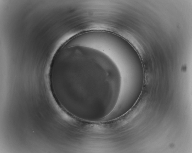 X0000103950995200809191437
