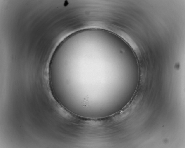 X0000103950996200809191437