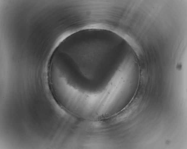 X0000103950998200809191436