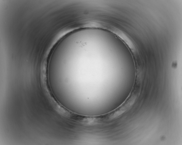 X0000103951000200809191436