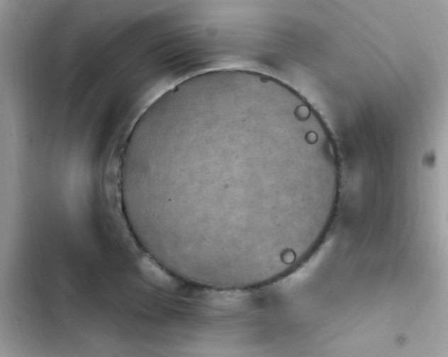X0000103951001200809191436