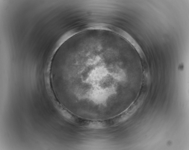 X0000103951002200809191436