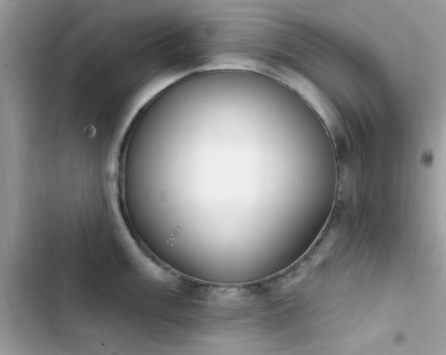 X0000103951003200809191436
