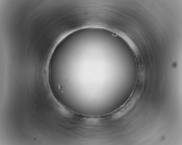 X0000103951004200809191436