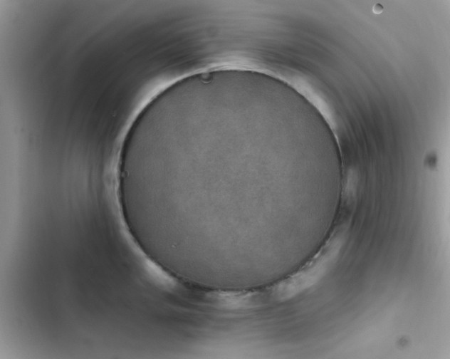 X0000103951005200809191436