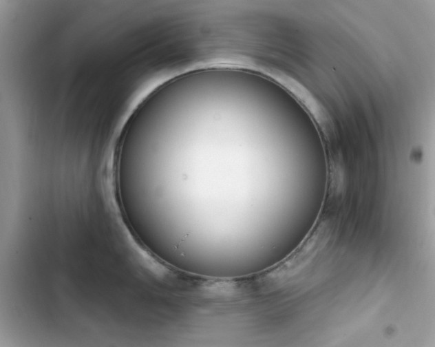 X0000103951006200809191436