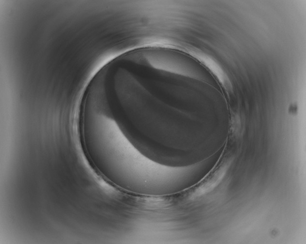 X0000103951007200809191436