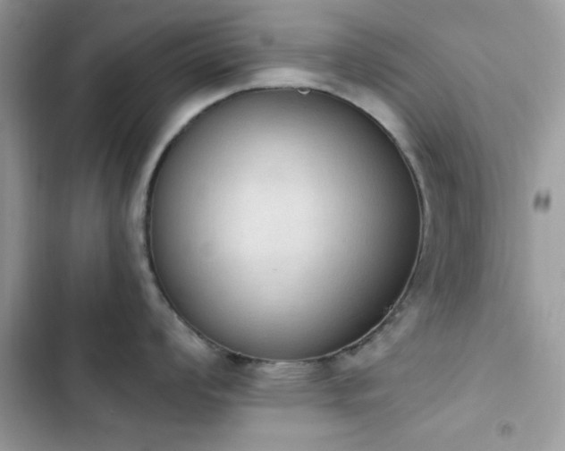 X0000103951008200809191436