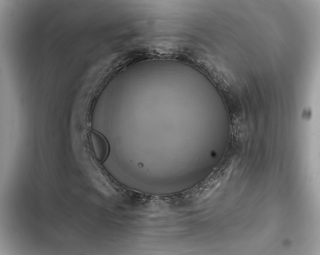 X0000103951009200809191436