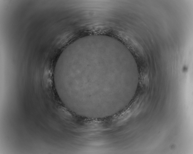 X0000103951010200809191436