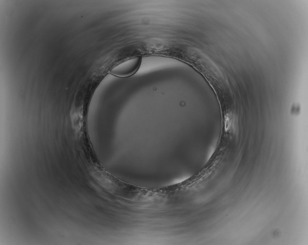 X0000103951011200809191436